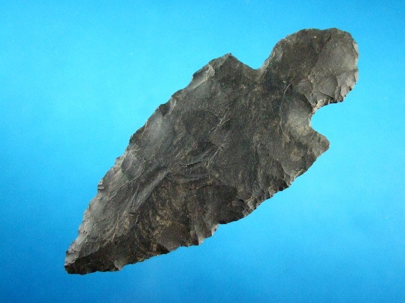 2 7/8" Turkeytail Point West KY Dover Flint (1 of 2)