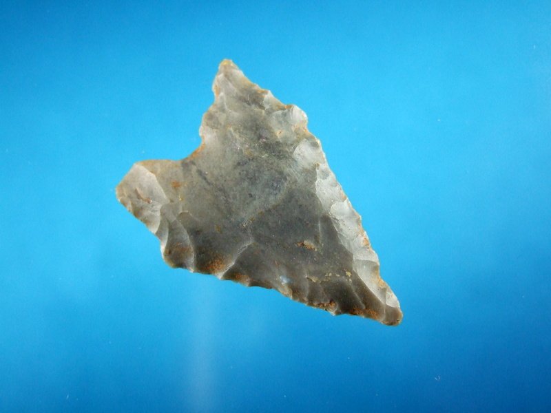 1 7/16" Dalton Point West KY Hornstone Flint (1 of 2)