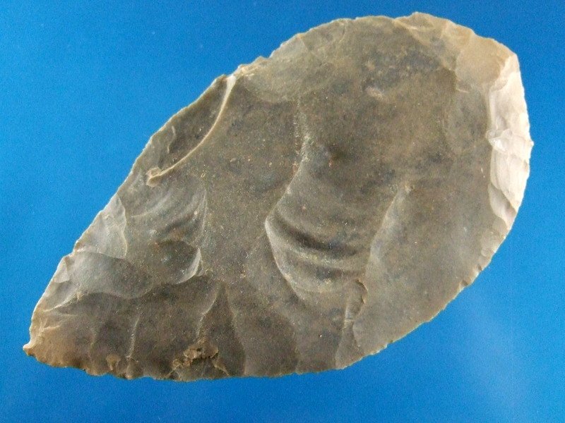 4 13/16" Turkeytail Blade Hornstone Flint West KY (1 of 2)