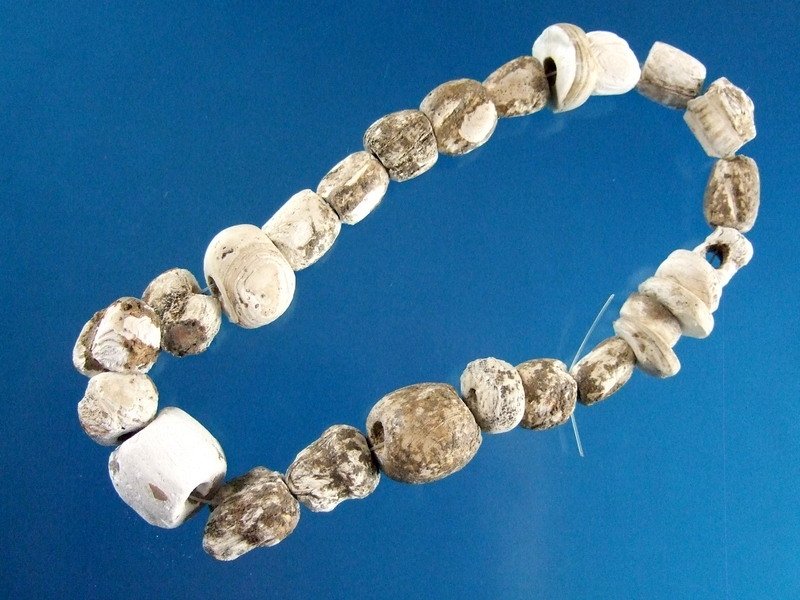 Large Shell Bead Necklace West Tennessee 15" Circular (1 of 3)