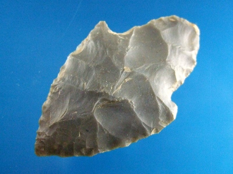 2 1/2" Turkeytail Point West KY (1 of 2)