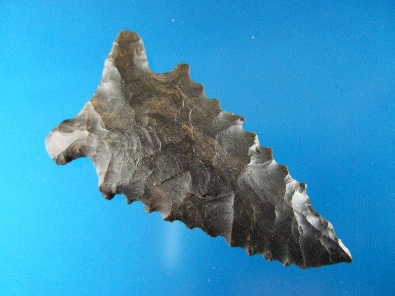 2 1/16" Heavily Serrated Greenbrier Dalton Point (1 of 2)