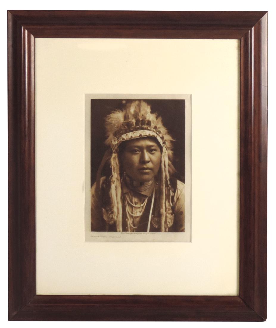 Native American sepia-tone on vellum, White Bull - (1 of 1)