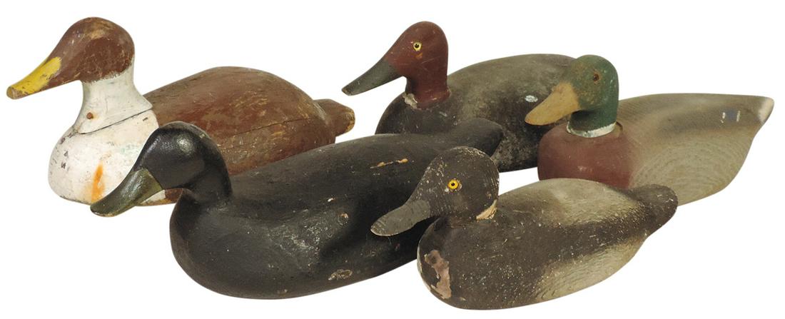 Duck Decoys (5), carved wood, various makes & ages incl Black green bill, Redhead, Mallard & others,: Duck Decoys (5), carved wood, various makes & ages incl Black green bill, Redhead, Mallard & others, Good+ to VG cond, largest 17.5"L.