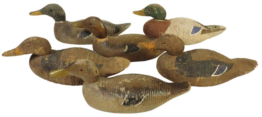 Duck Decoys (6), Mallard drakes & hens w/hollowed bases, attrib to Victor, most w/glass eyes (1: Duck Decoys (6), Mallard drakes & hens w/hollowed bases, attrib to Victor, most w/glass eyes (1 missing), most Good cond, largest 16.75L.