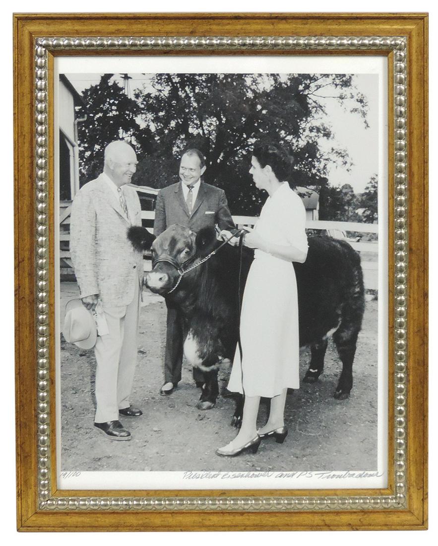 Livestock Presidential Publicity Photograph, President Eisenhower & PS Troubadour (1956 Grand (1 of 1)