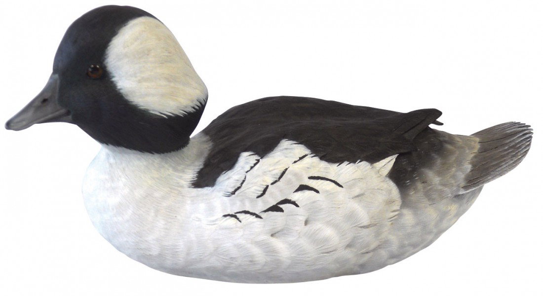 Decoy, Bufflehead drake carved by Greg Curless-Ma: Decoy, Bufflehead drake carved by Greg Curless-Madison, WI, 2000, nice detailed carving, Exc cond, 10.5"L,
