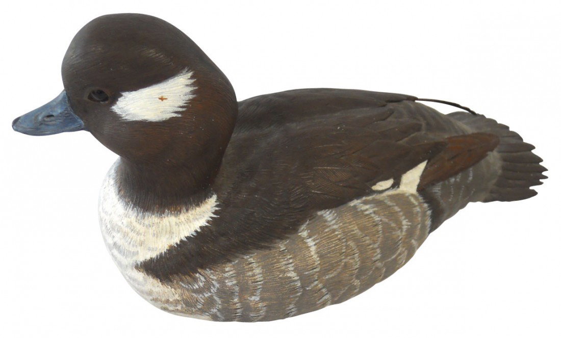 Decoy, Bufflehead hen carved by William J. Greben: Decoy, Bufflehead hen carved by William J. Grebenor, nicely detailed, hollow wood, Exc cond, 11"L.