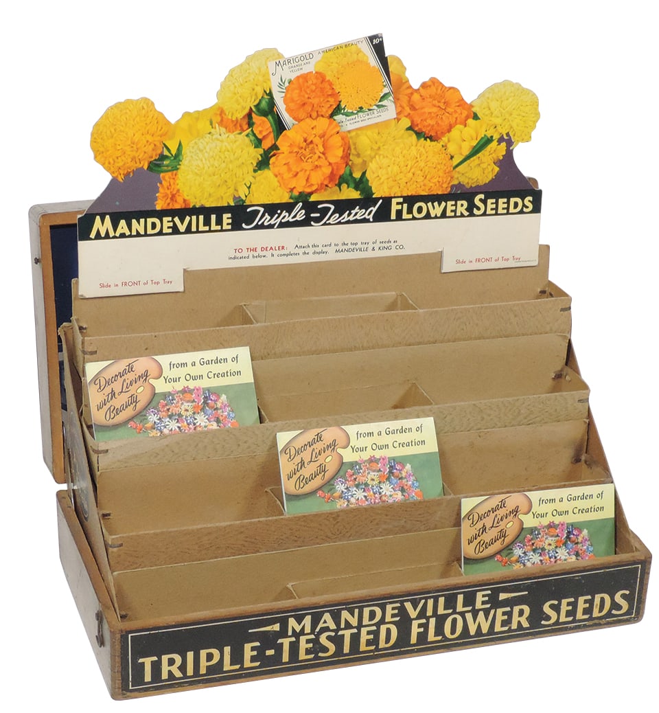 Flower Seed Box, Mandeville & King Co. Superior Flower Seeds-Rochester NY, hinged dovetailed oak box (1 of 2)
