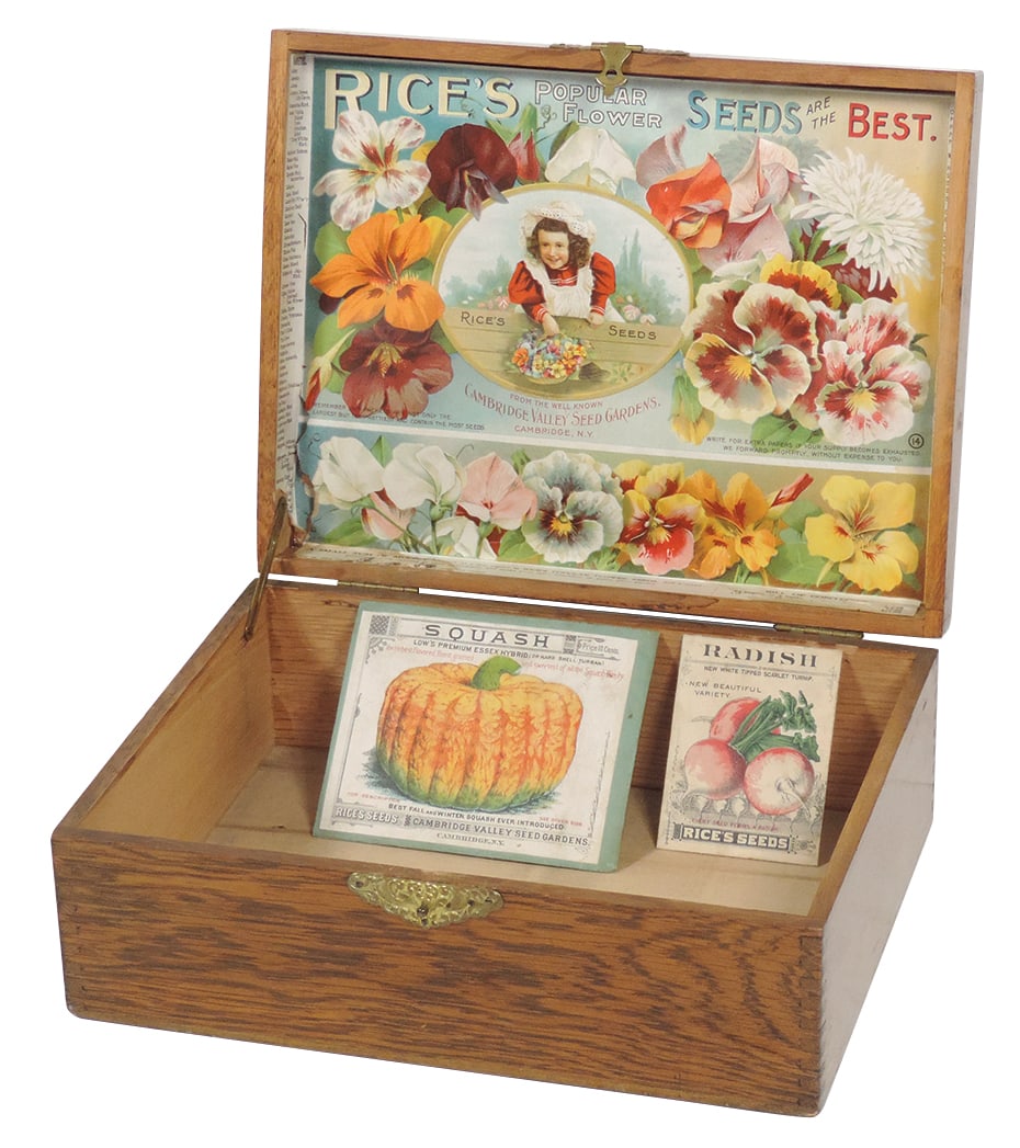 Flower Seed Box, Rice's Popular Flower Seeds, from the Cambridge Valley Seed Gardens-Cambridge, NY, (1 of 1)