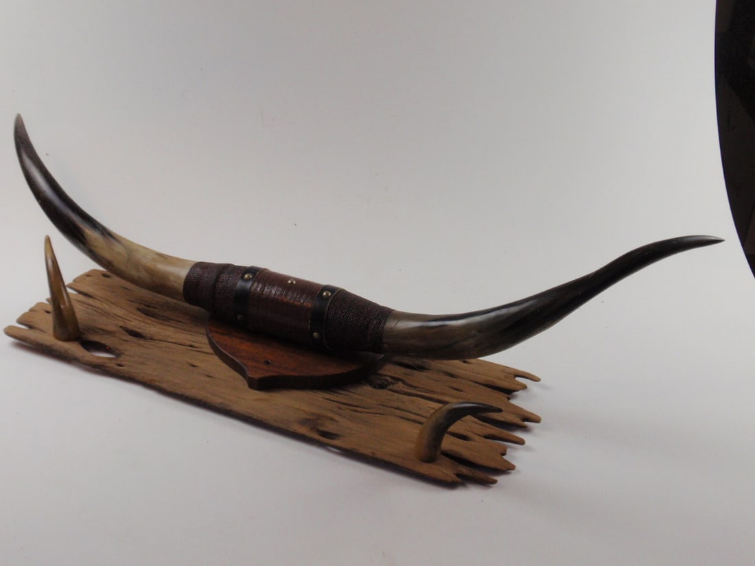 A Western Style Steer horn Wall Display (1 of 2)