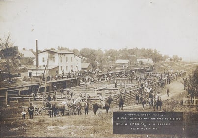 A Period Photograph of a Stock Train Circa 1900