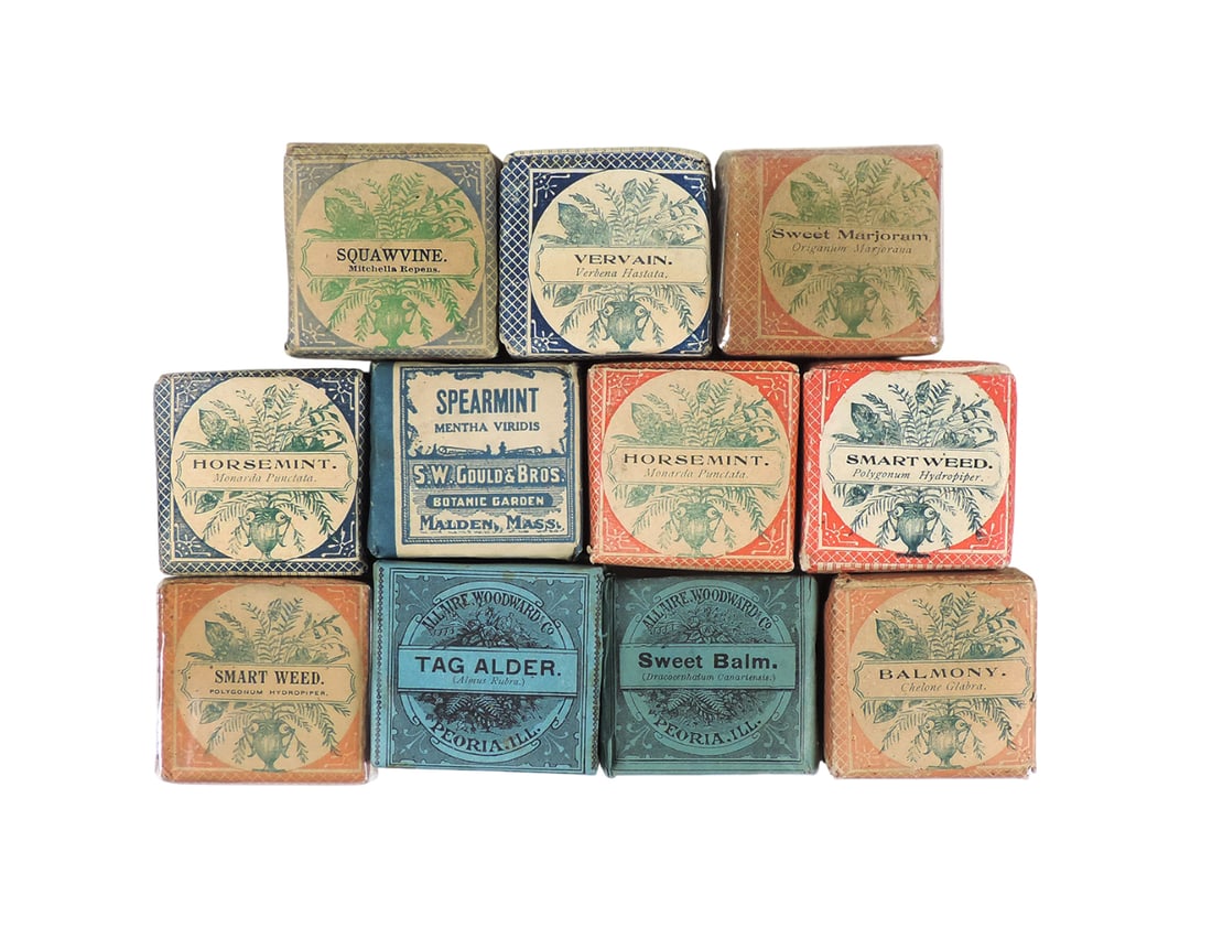 Apothecary Herbs (11), Smart Weed (2), Balmony, Horsemint (2), Sweet Marjoram, Vervain, Squawvine...: Apothecary Herbs (11), Smart Weed (2), Balmony, Horsemint (2), Sweet Marjoram, Vervain, Squawvine from Huber & Co., Fond du Lac, Wis-USA, Seet Balm, Tag Alder from Allaire-Woodward & Co., Peoria, Ill.