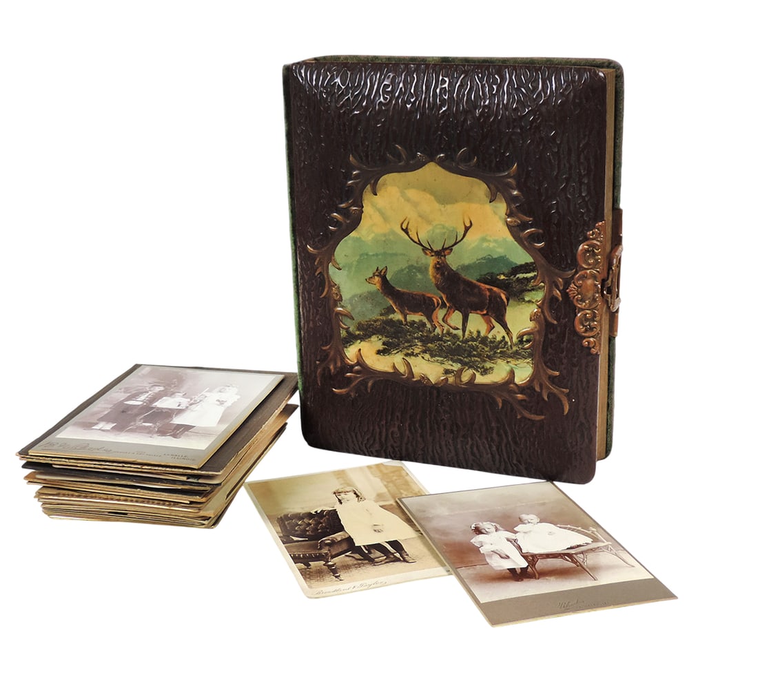 Victorian Cabinet Card Album w/Cabinet Cards (35), celluloid cover resembles tree bark/Wildlife, ... (1 of 8)