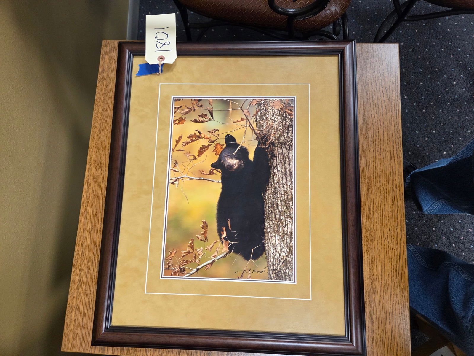 Print. October's Oak black bear, by Thomas D. Mangelsen. 22" high by 18" wide. Very good condition: Print. October's Oak black bear, by Thomas D. Mangelsen. 22" high by 18" wide. Very good condition