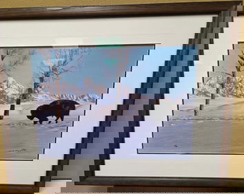 Bison in a snowstorm possibly in Yellowstone Park