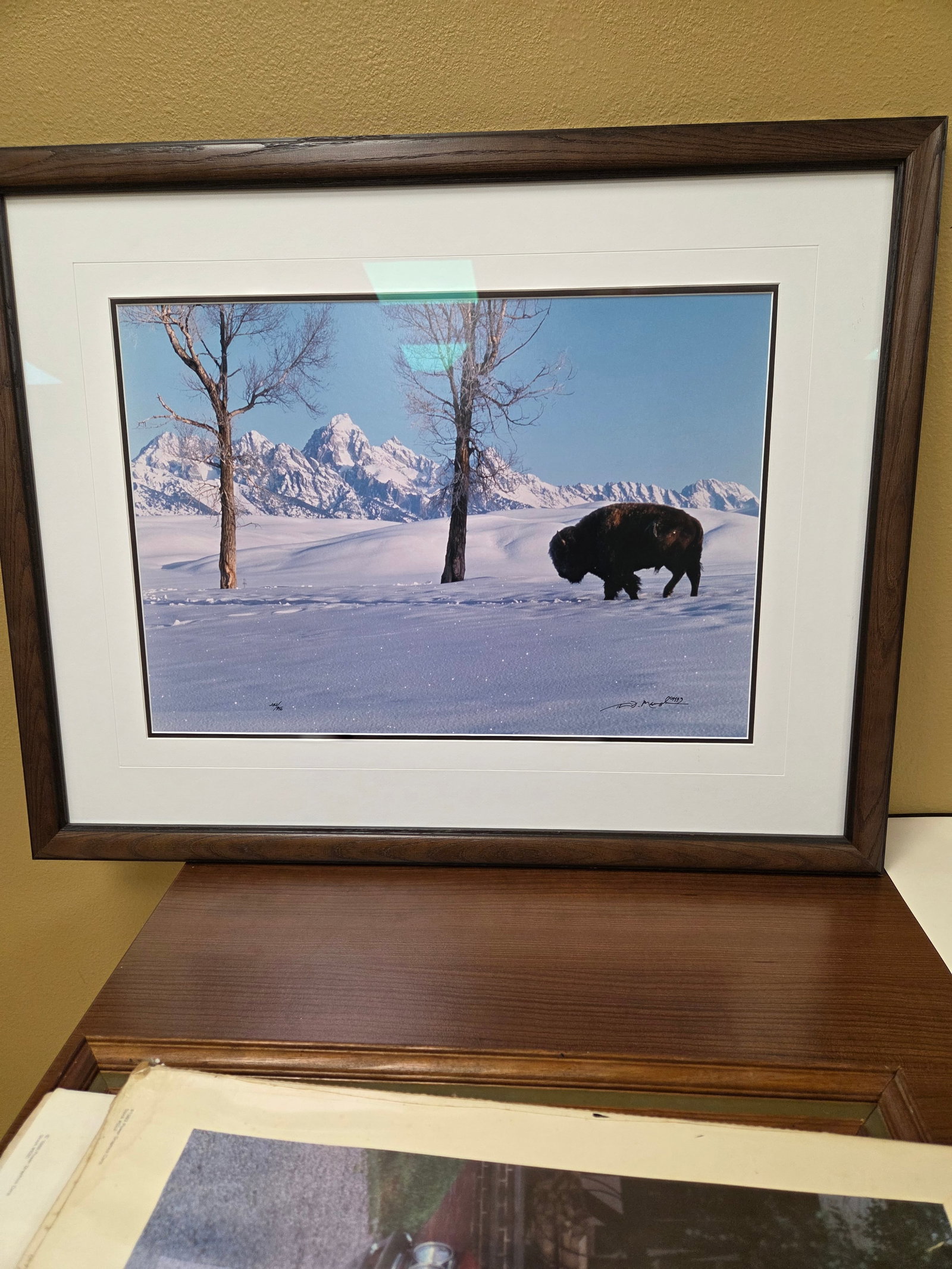 Bison in a snowstorm possibly in Yellowstone Park: Bison in a snowstorm possibly in Yellowstone Park. 22 inches high x 28 inches wide.