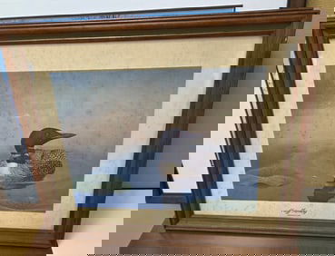 Photograph of a framed art print of a loon on a lake the print is titled "Hazy Morning" and is a