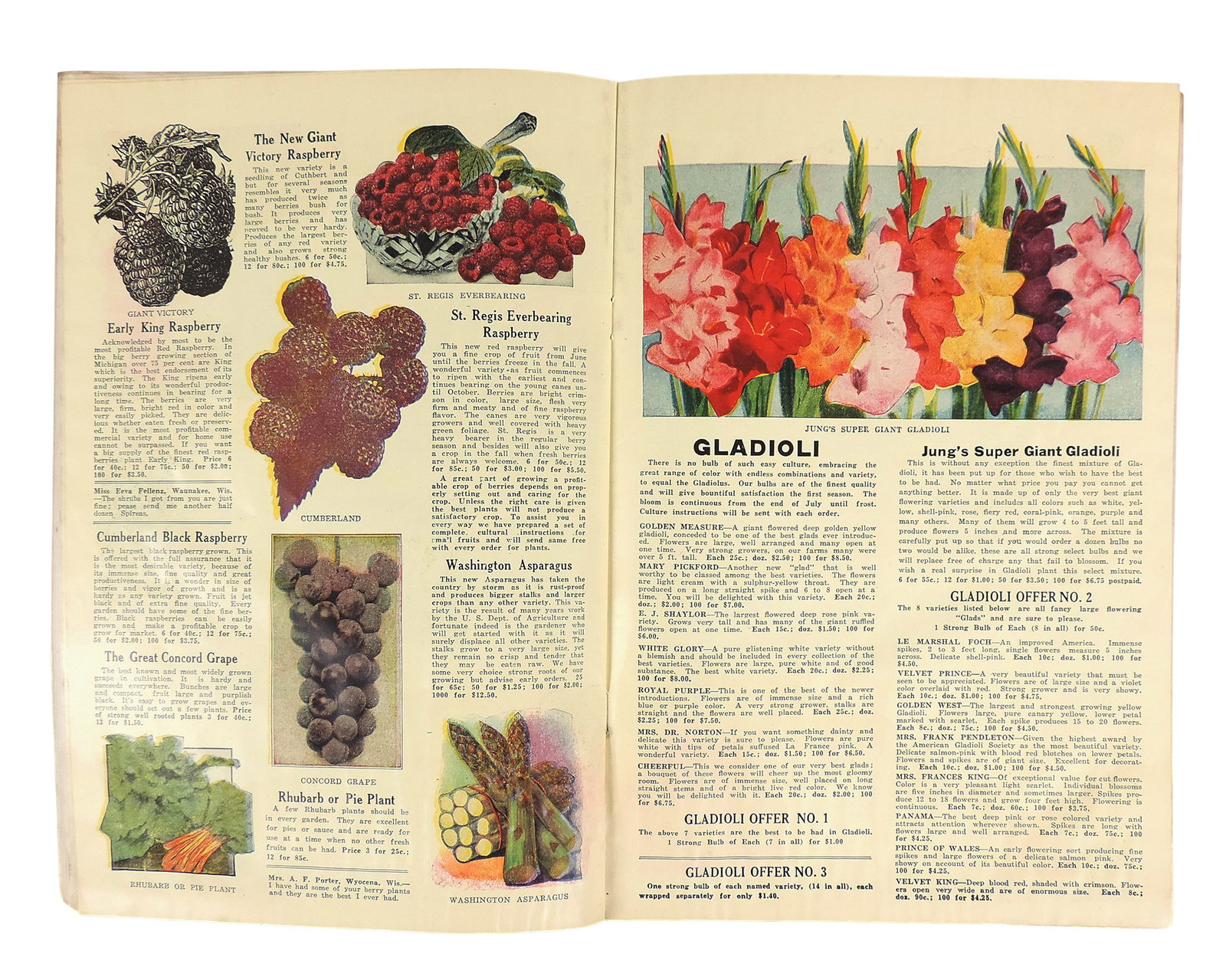 J.W. Jung Quality Seed Catalogues (2), Quality Seed Growers, 1927 Jung Quality Seeds, Randolph, W... - 3
