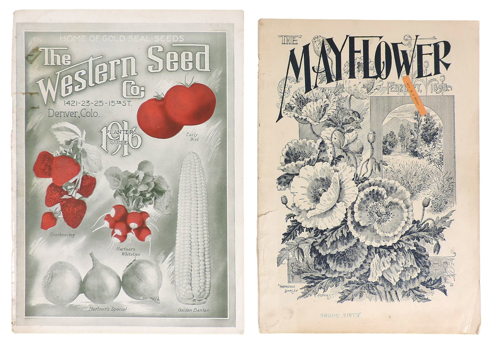 The Mayflower & The Western Seed Co., Catalogues (2), February 1898, The Mayflower, Floral Park, ... (1 of 5)