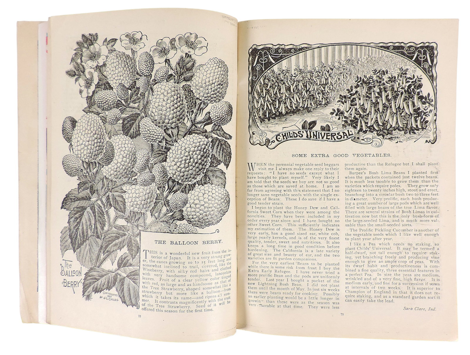 The Mayflower & The Western Seed Co. Catalogues (2), February 1898, The Mayflower, Floral Park, N... - 4