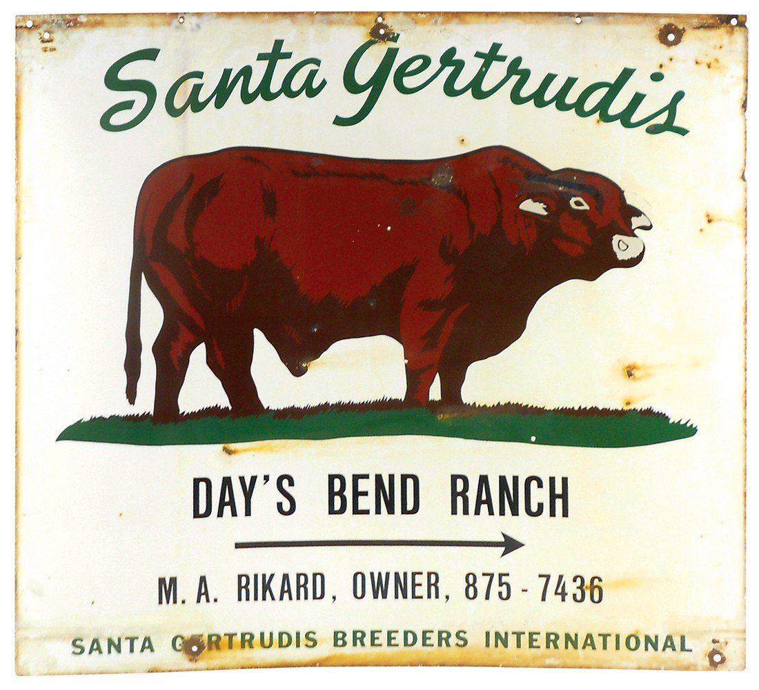 Livestock sign, Santa Gertrudis, Day's Bend Ranch, M.A. (1 of 2)