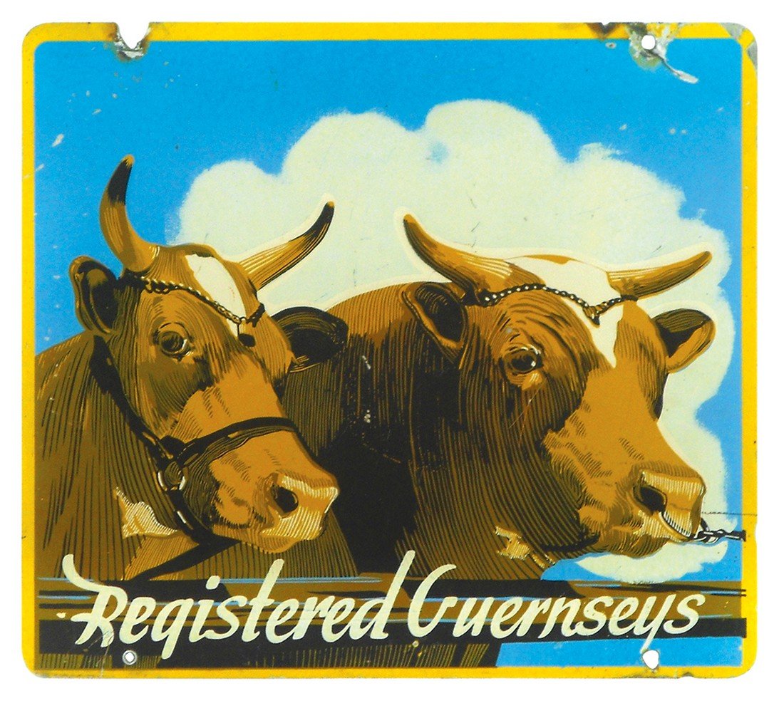 Livestock sign, Registered Guernseys, 2-sided metal, (1 of 1)