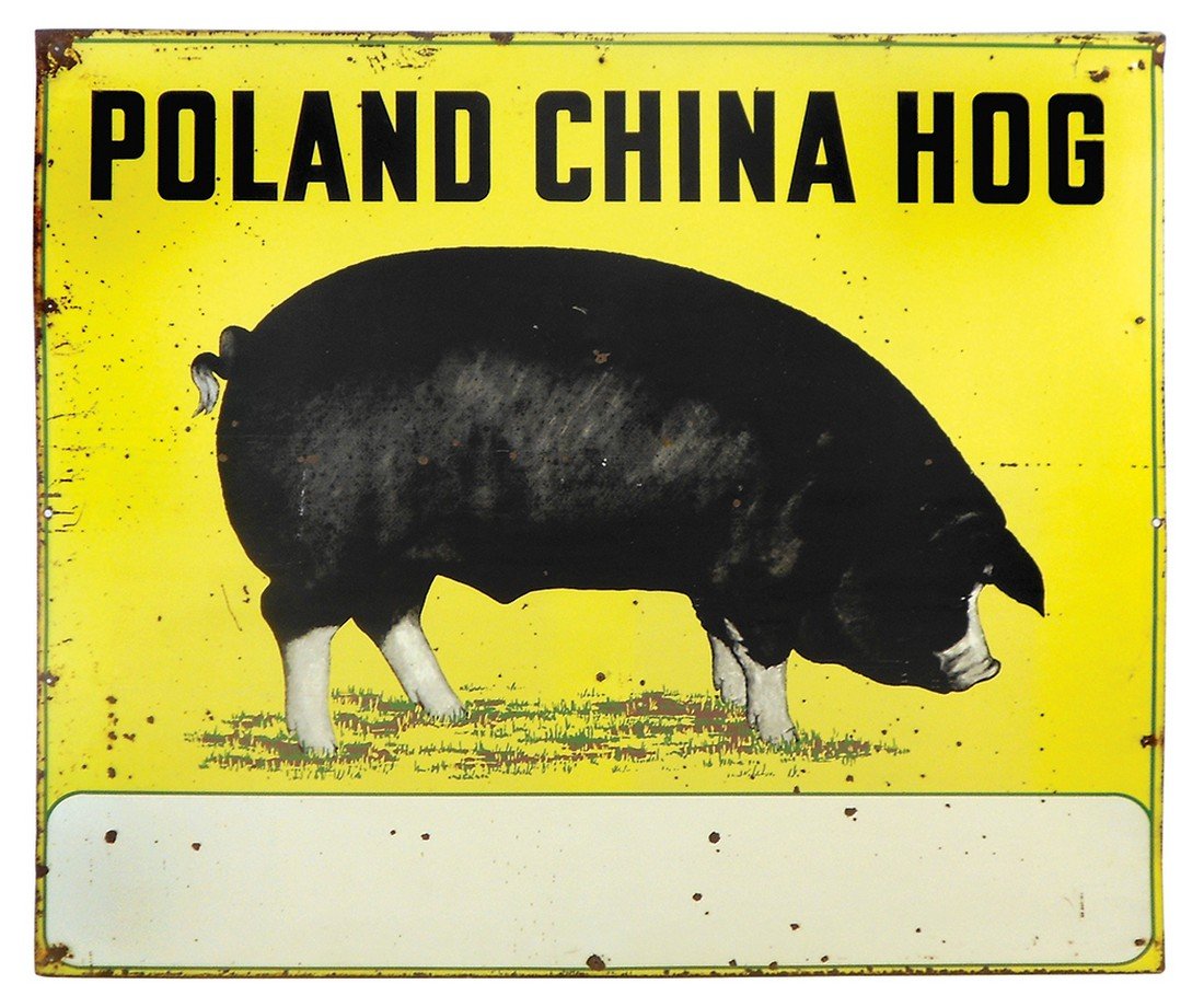 Livestock sign, Poland China Hog, 2-sided metal, VG (1 of 1)