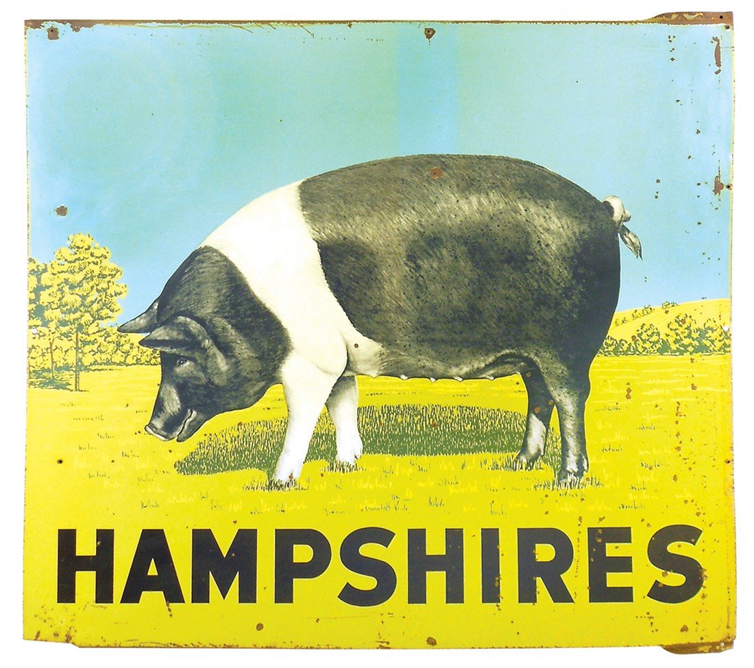 Livestock sign, Hampshires, 2-sided metal, one side VG+ (1 of 1)