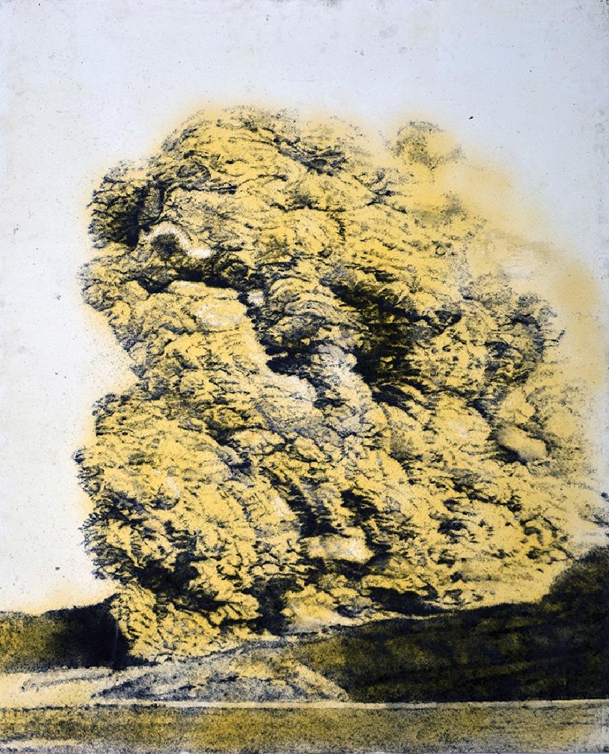 Gal Weinstein b. 1970: Dust Cloud, 2008, steel wool on paper, 100X80 cm. A Panorama of Contemporary Israeli Art, 2012, Catalogue, pp. 126-128 Collecting Dust in Contemporary Israeli Art, Tamar Friedman, Dec 2013, Catalogue.