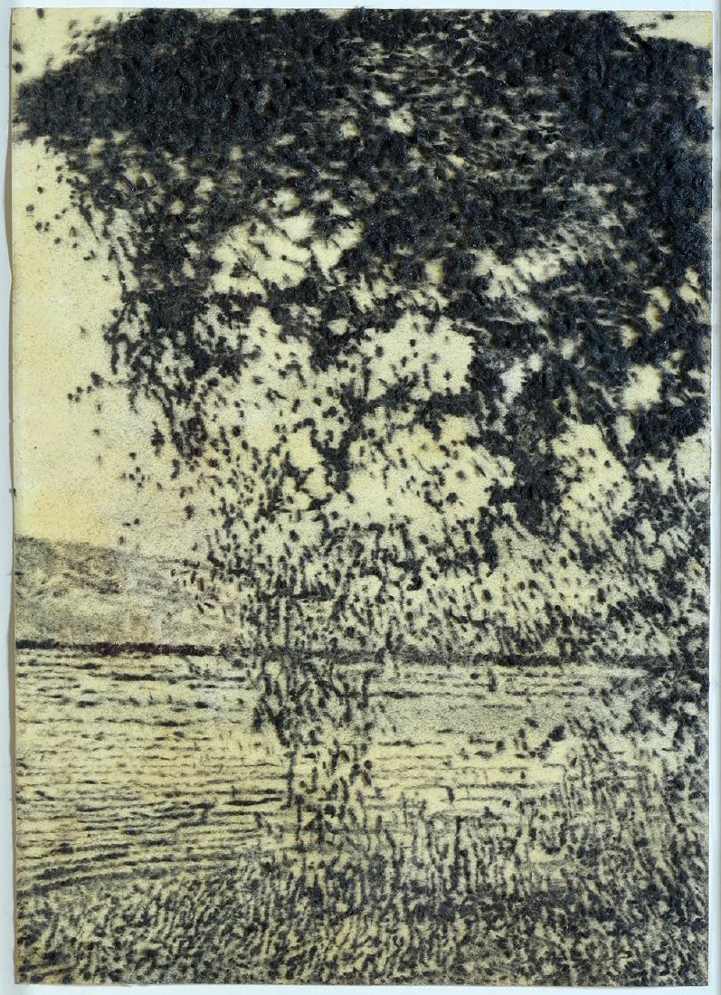 Gal Weinstein b. 1970: Lake Ahula, 2004, Steel wool on paper, 100X70 cm, Signed and dated on the reverse.