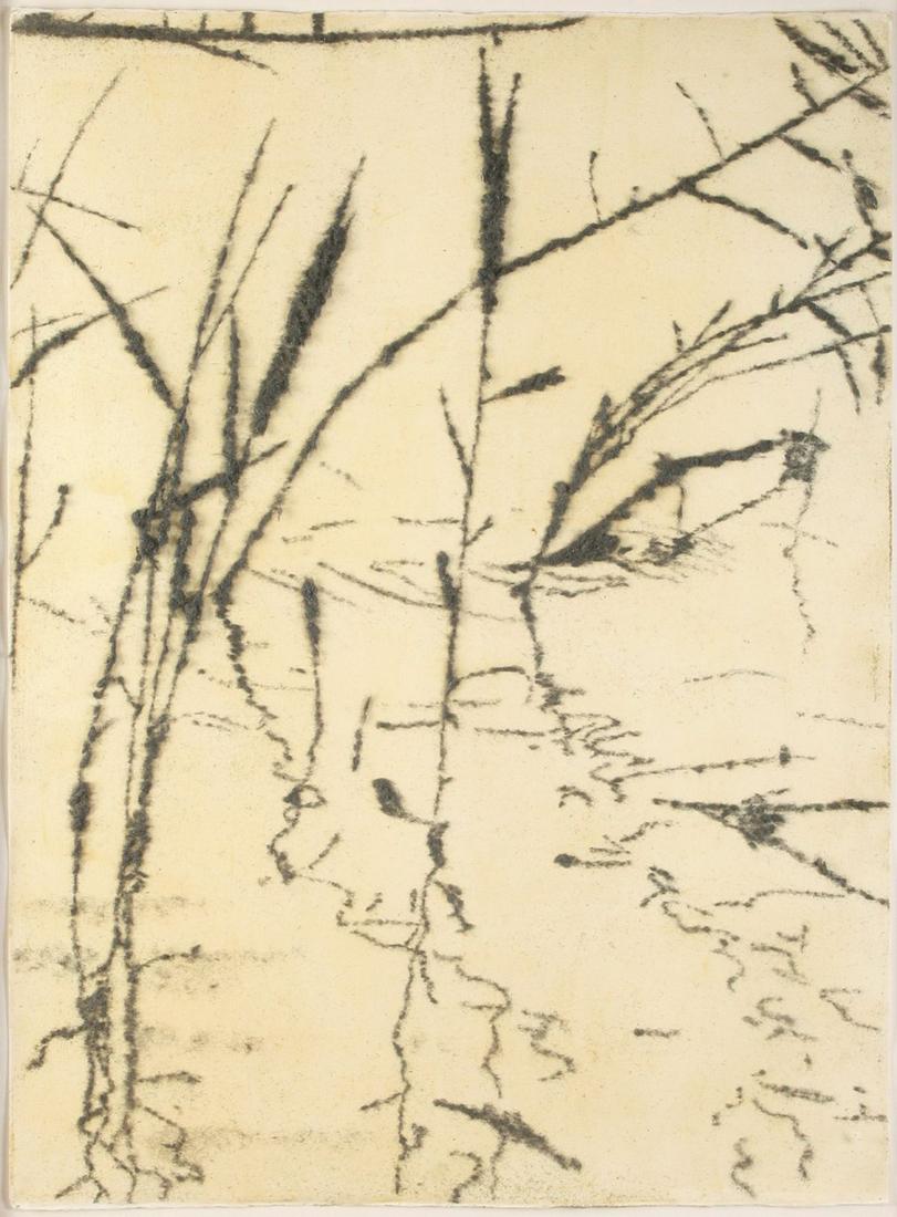 Gal Weinstein: Plants in Gray,Steel wool on paper,105X70 cm.