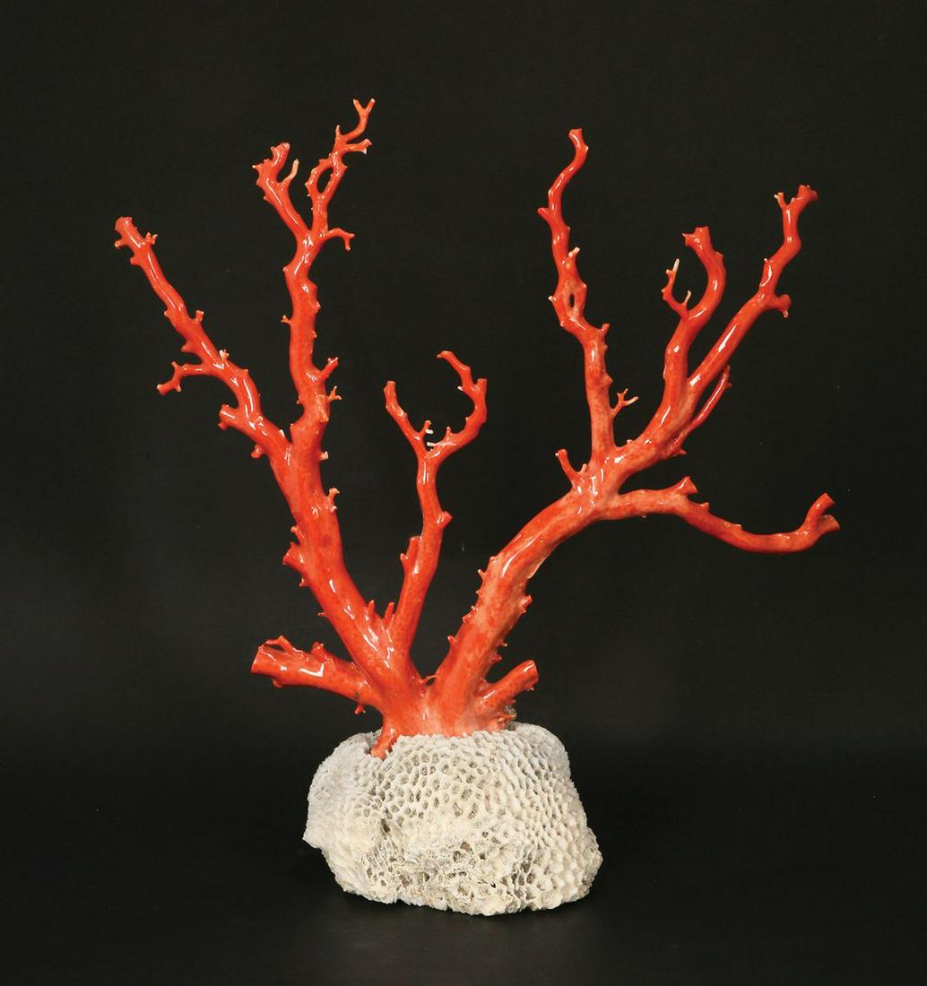 A CHINESE CORAL CARVING (1 of 1)