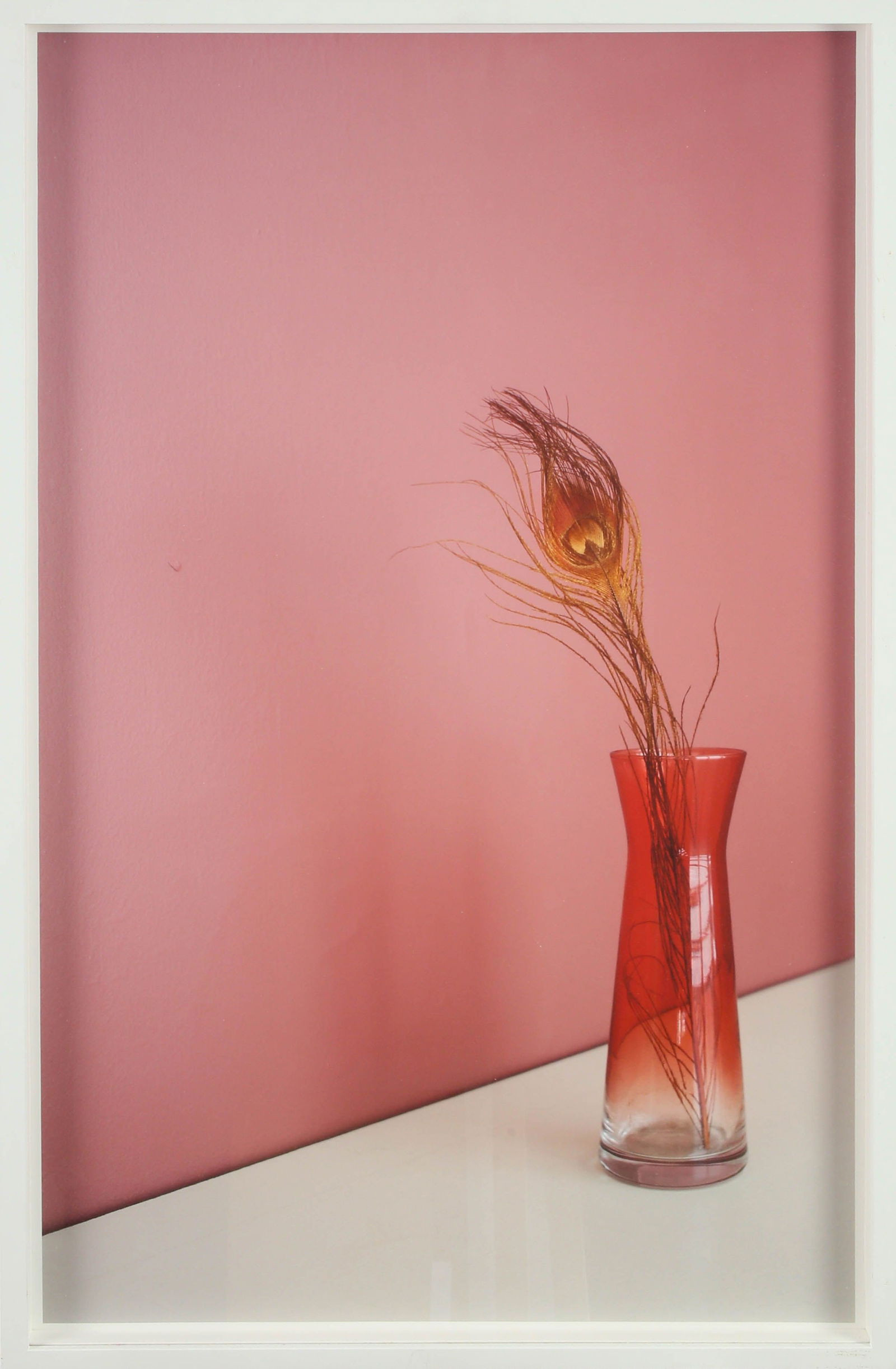 David Adika: Untitled (Peacock feather), 2012, C-Print, 88X55 cm. Signed and numbered 1/5 on the reverse.