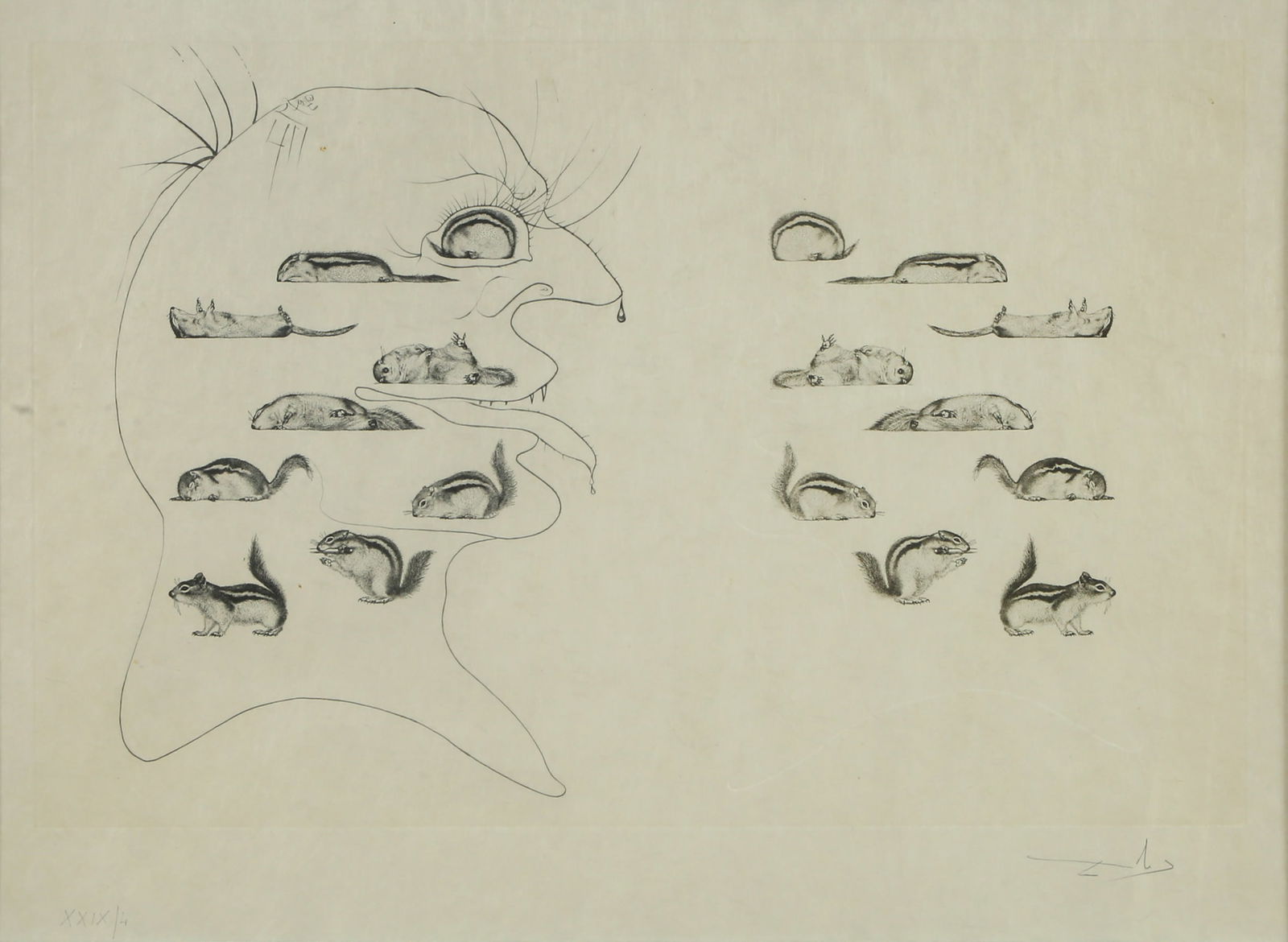 SALVADOR DALI – HOLOGRAPHY OF THE SQUIRREL: 1973. Etching. Signed in pencil. Limited edition, numbered 29/50. Certificate of authenticity for the work and signature on the back. Dimensions: 50 x 69 cm. Cracks at the edges of the glass.