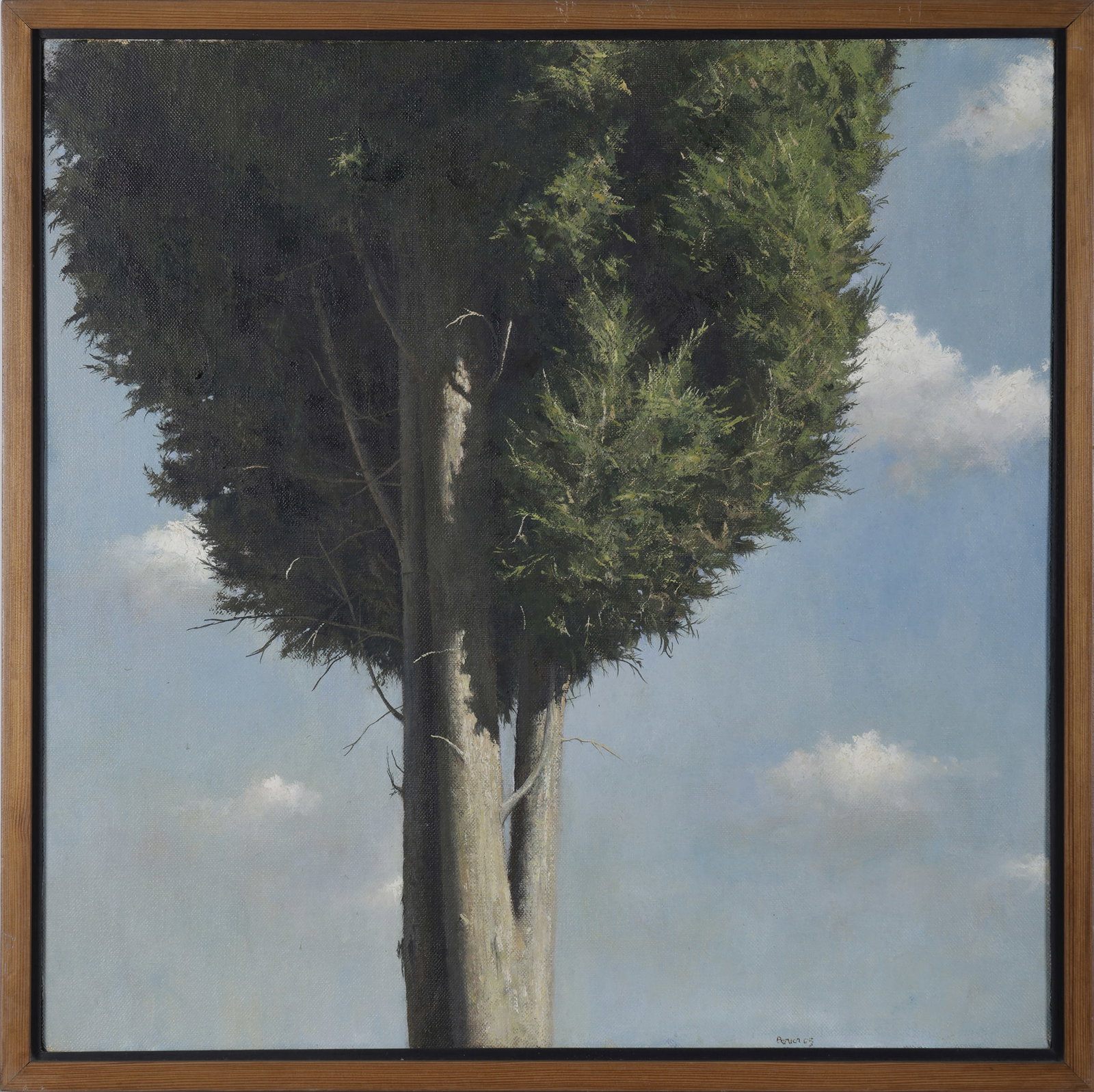 Ilan Baruch - 2