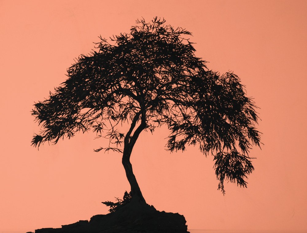 Yehudit Sasportas b. 1969: Untitled, 2004, Mixed media on wood, 62X83 cm. Signed and dated on the reverse.