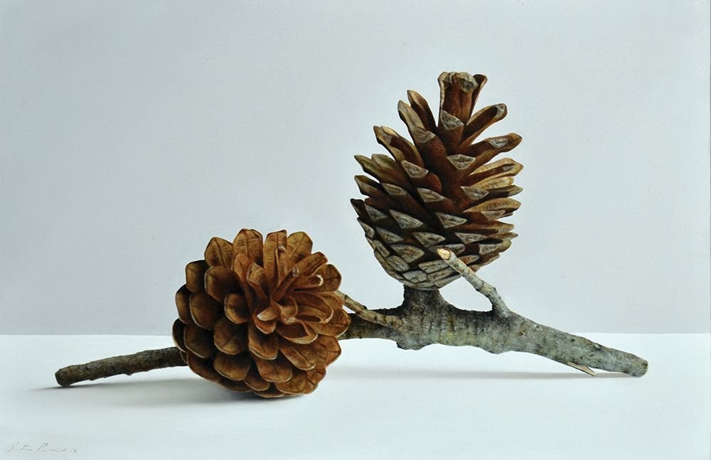 Natan Pernick b. 1980: Pinecones 2013 Oil on canvas 38X60 cm. Signed and dated.