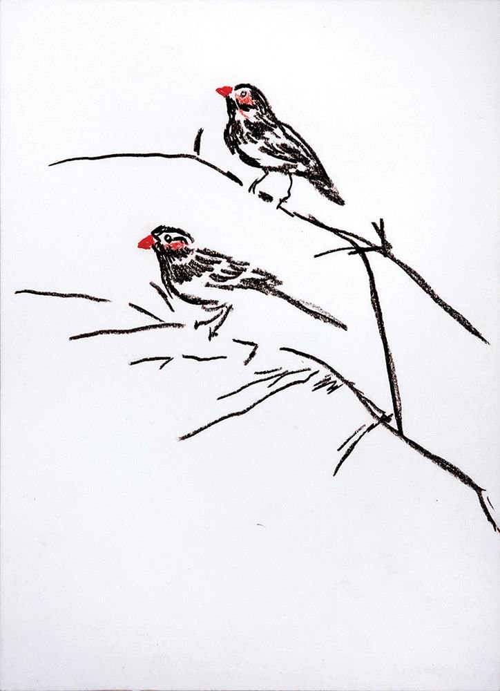Gil Marco Shani b. 1968: Birds Marker on cardboard 29x20 cm. Signed on the reverse.
