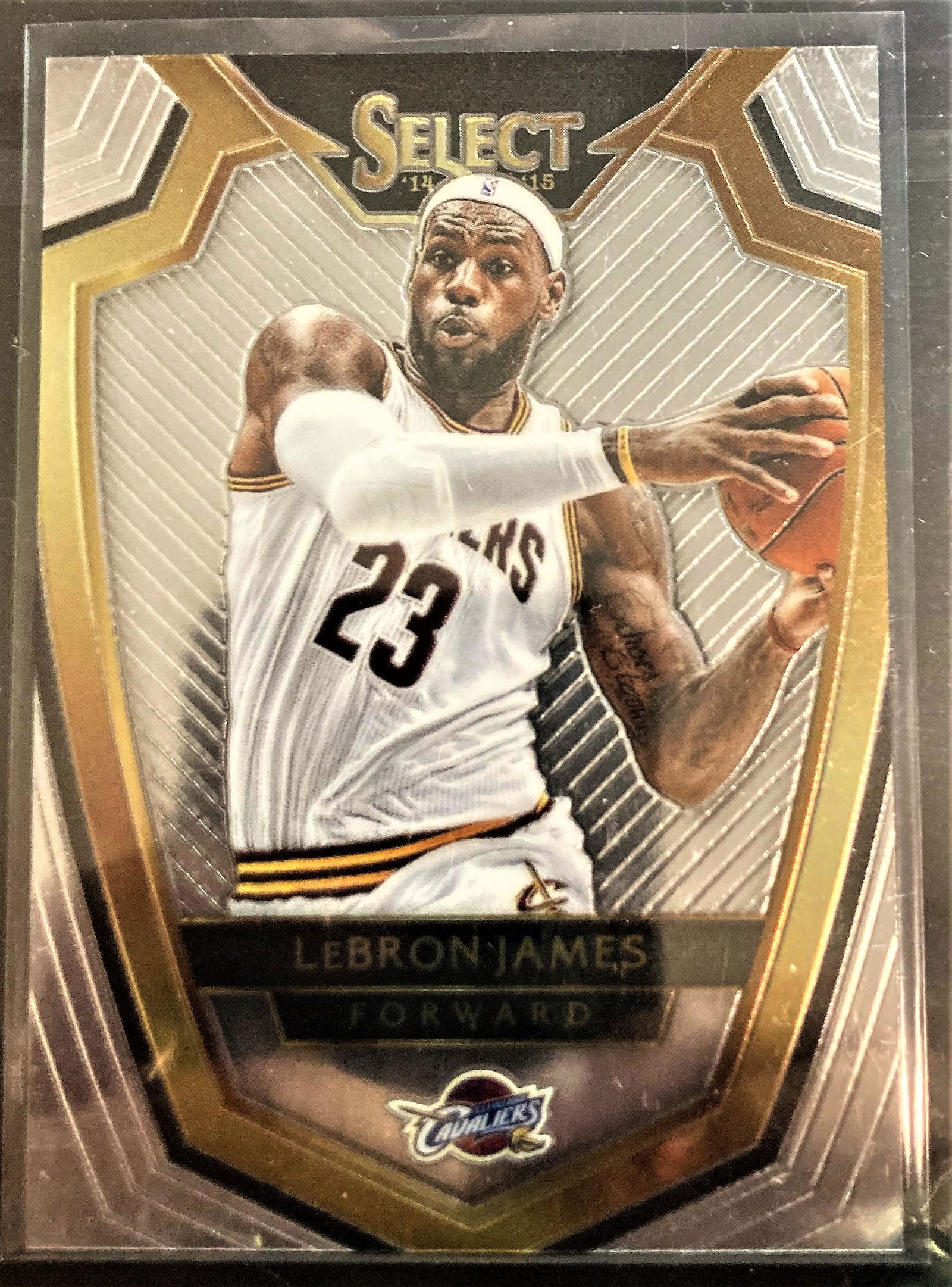 2014-15 Select LeBron James Premier Level #119 (1 of 2)