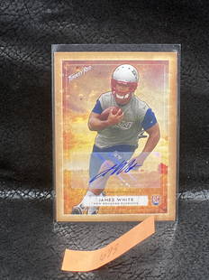 James White 2014 Topps Turkey Red Autographs #29 Rc: James White 2014 Topps Turkey Red Autographs #29 Rc Auto - New England Patriots