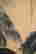item-48046481=2
