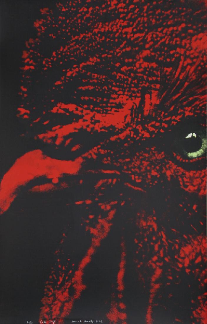 Colin Self, Power and Beauty No. 4, Serigraph (1 of 1)