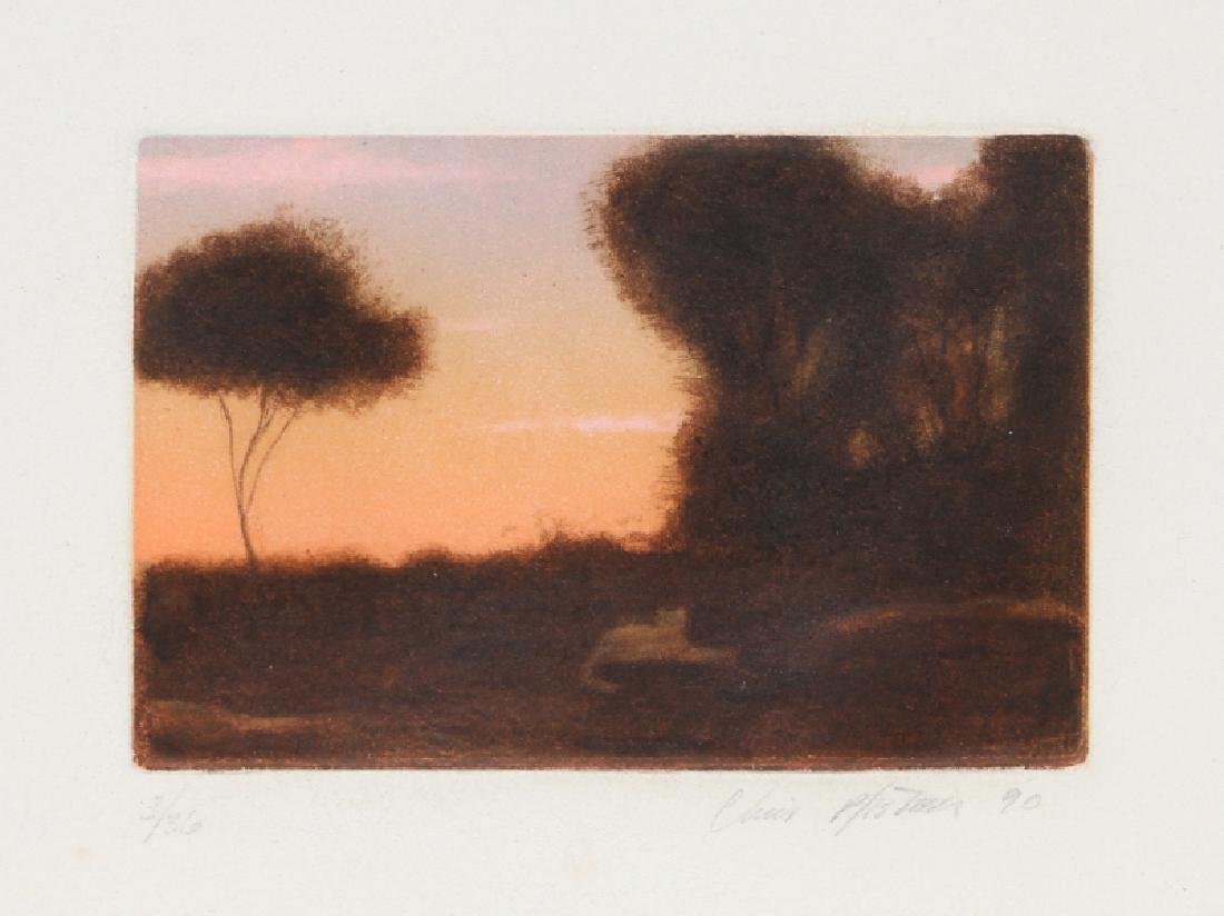 Chris Pfister, Cat in landscape, Aquatint Etching: Artist: Chris Pfister, American (1957 - ) Title: Cat in landscape Year: 1990 Medium: Etching with Aquatint, signed and numbered in pencil Edition: 3/36 Image Size: 4.5 x 6 inches Size: 8.5 x 10 in. (2