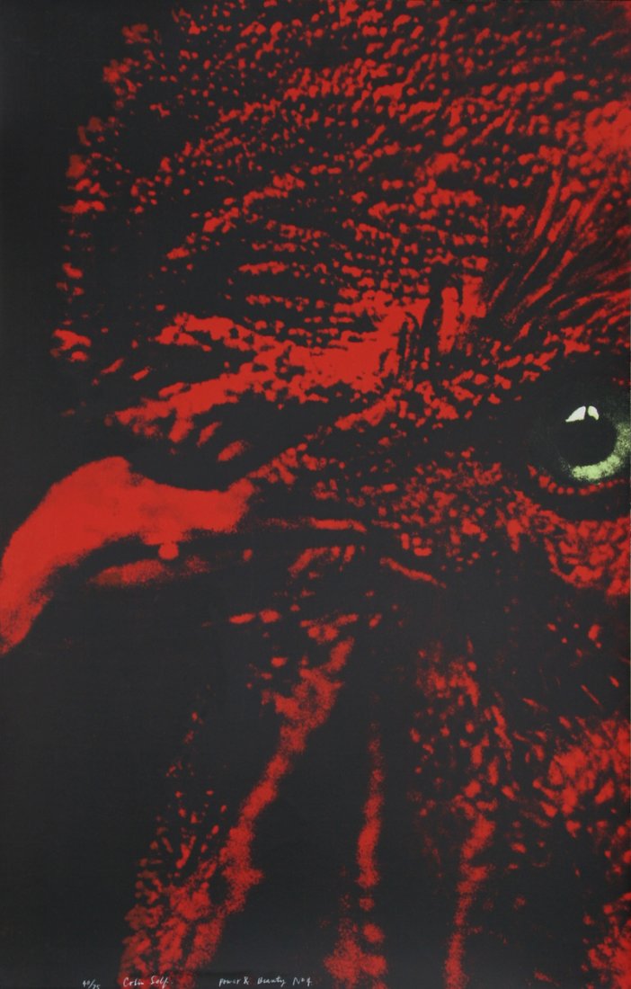 Colin Self, Power and Beauty No. 4, Rooster Serigraph: Artist: Colin Self, British (1941 - ) Title: Power and Beauty No. 4 Year: 1969 Medium: Serigraph, signed, numbered and titled in ink Edition: 75 Size: 41 in. x 26 in. (104.14 cm x 66.04 cm)