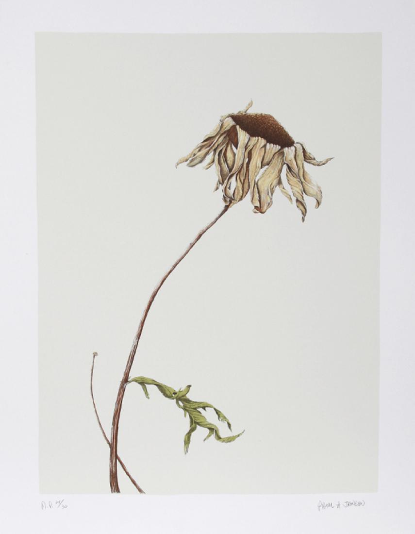 Paul Arthur Jansen, Dry Daisy, Lithograph (1 of 1)