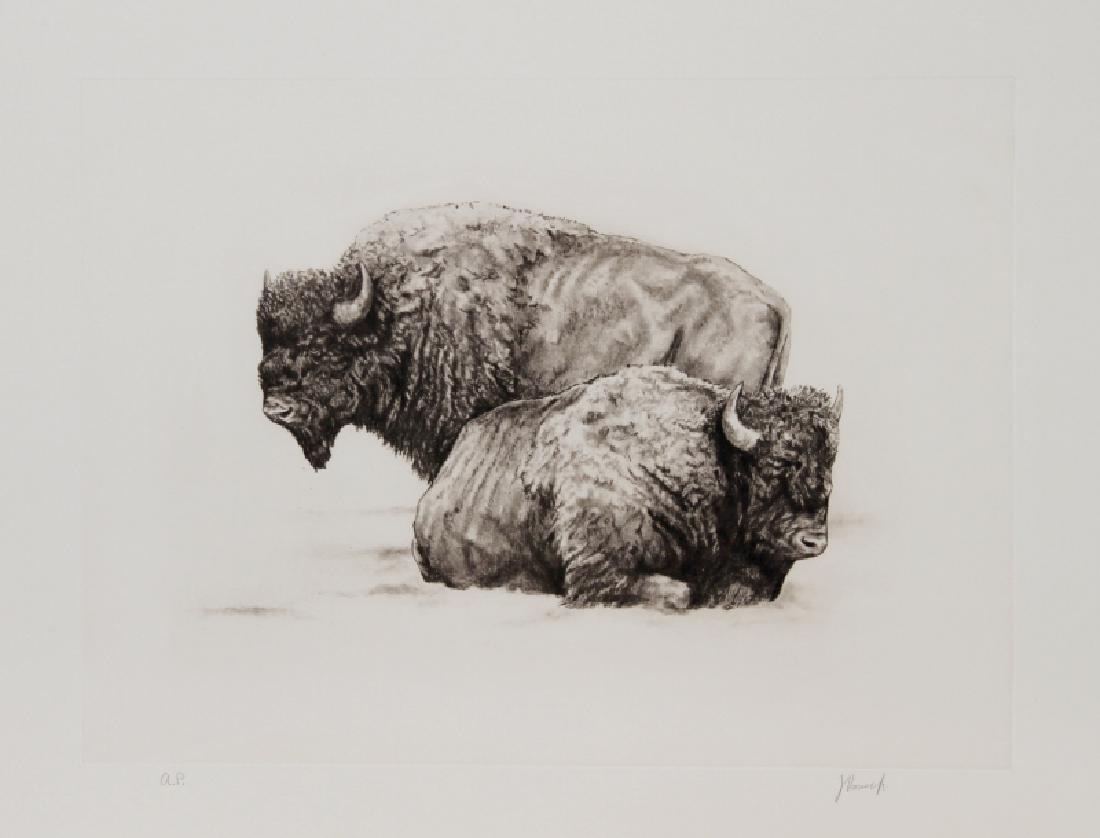 Joseph Vance, American Buffalo, Etching (1 of 1)