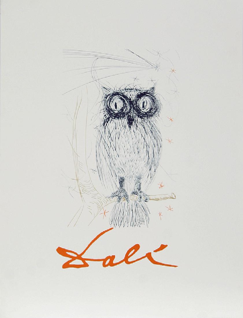 Salvador Dali, Owl, Poster (1 of 1)