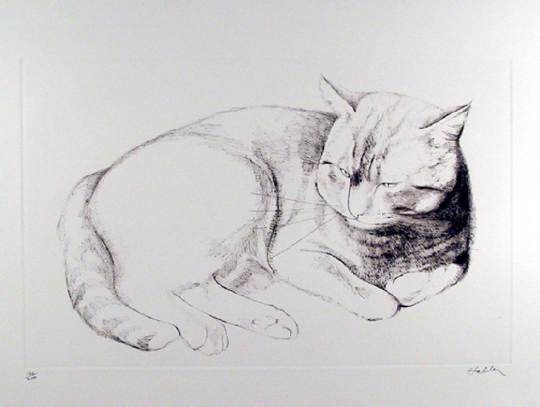 Haller, Basking Cat, Etching (1 of 1)