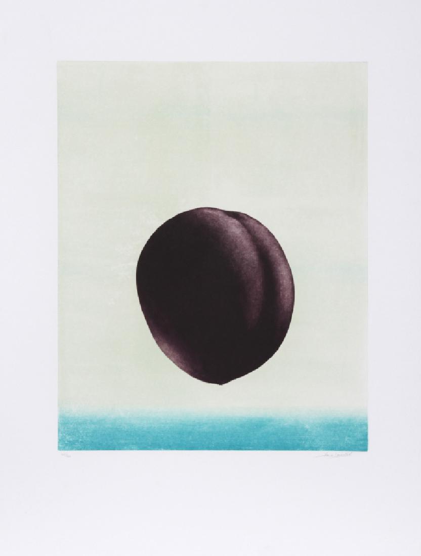 Hank Laventhol, Plum, Aquatint Etching: Artist: Hank Laventhol, American (1927 - 2001) Title: Plum Year: Circa 1980 Medium: Aquatint Etching, signed and numbered in pencil Edition: 300, AP XXXV Image Size: 20 x 15.5 inches Size: 30 in. x 22